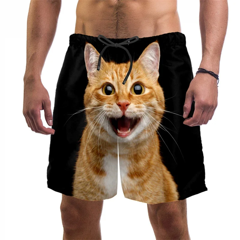 3d Print Funny Cat Beach Short - Trunks Board Surf 评论和价格